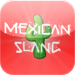 Mexican Slang